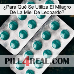 ¿Para Qué Se Utiliza El Milagro De La Miel De Leopardo dapoxetine2